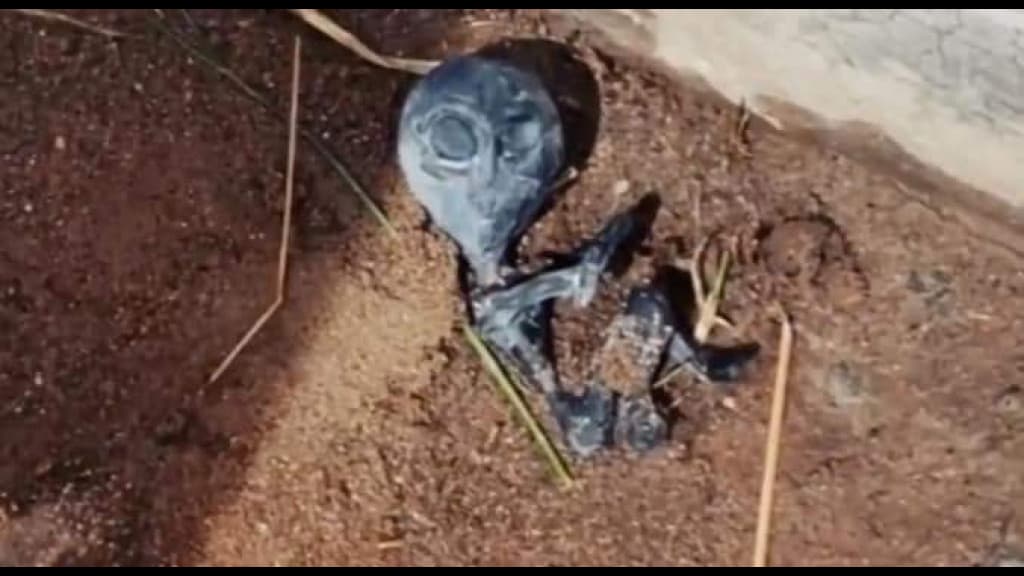 Moradores de aldeia afirmam ter avistado OVNI e bebês alienígenas