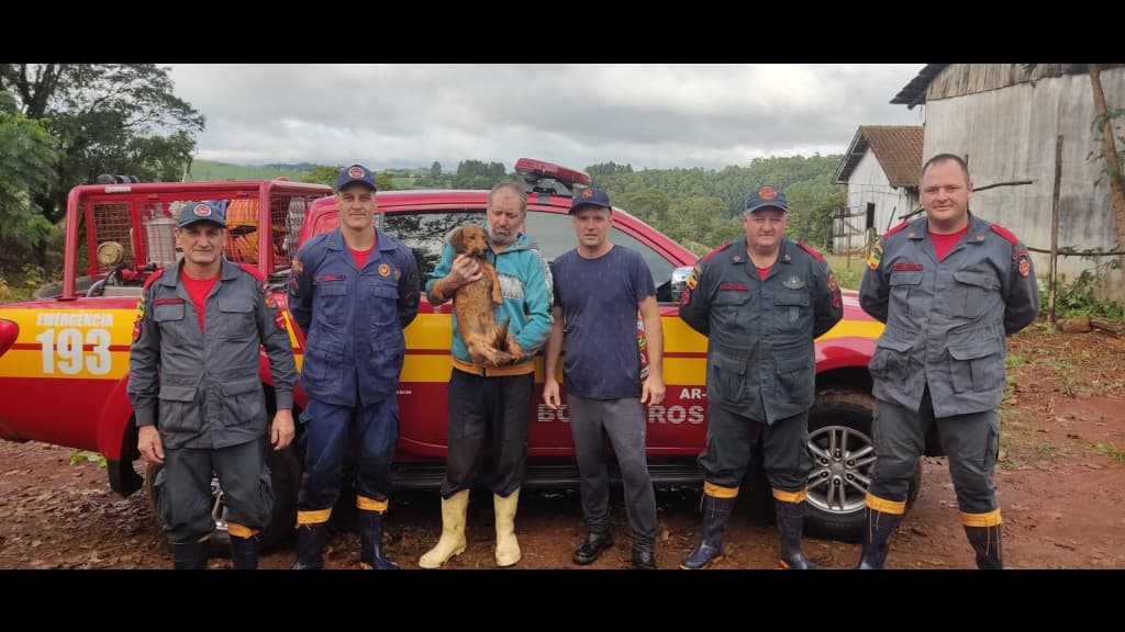 Cachorro salva dono perdido em mata de SC