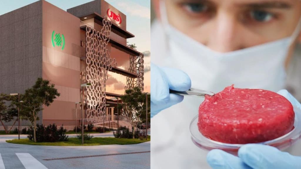 Florianópolis recebe investimento bilionário para “fábrica de carne de laboratório”