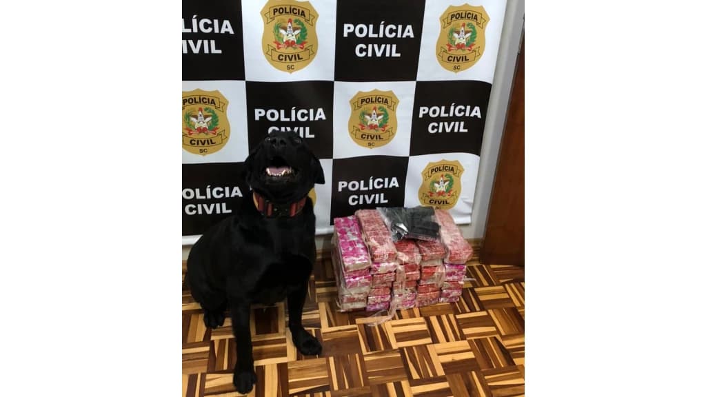 Passageiro de ônibus é preso com arma, munições e mais de 25 kg de maconha
