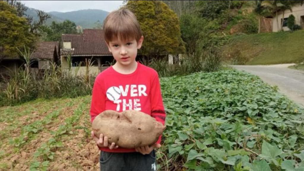 Menino de 5 anos é atropelado pelo trator do próprio pai em SC