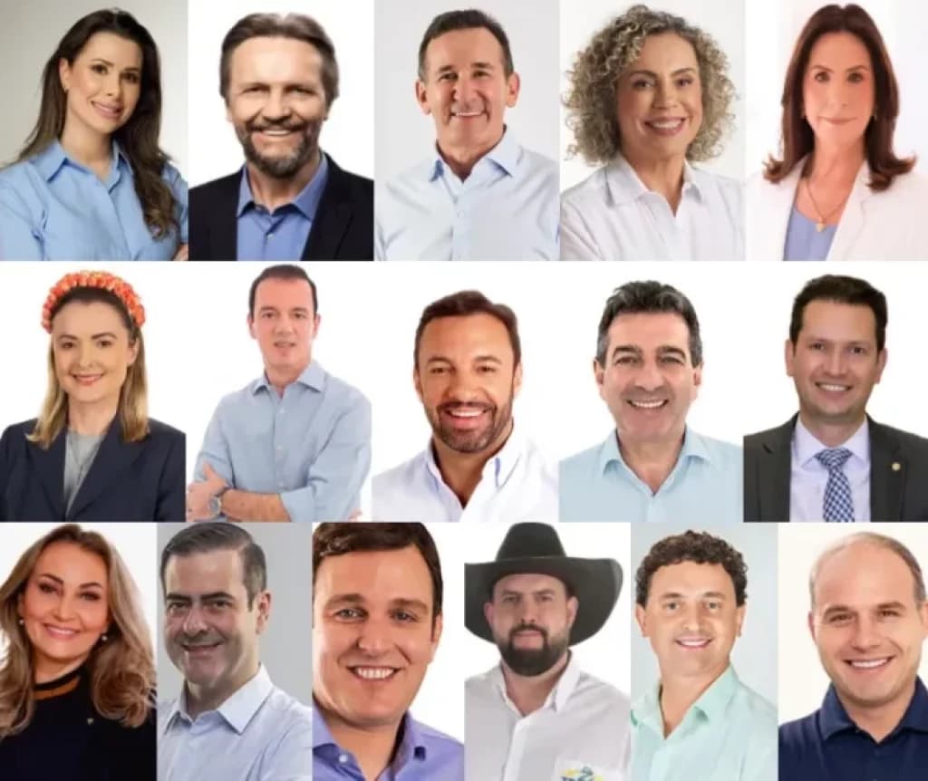 Confira todos os deputados federais eleitos em SC