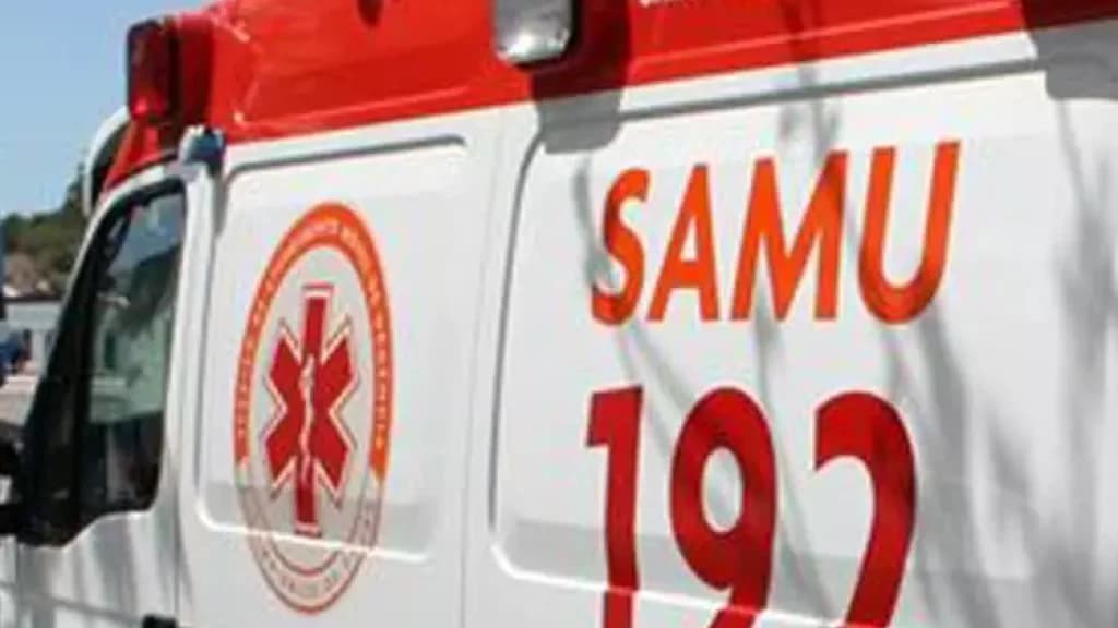 Jovem tenta separar briga de cães e acaba ferida