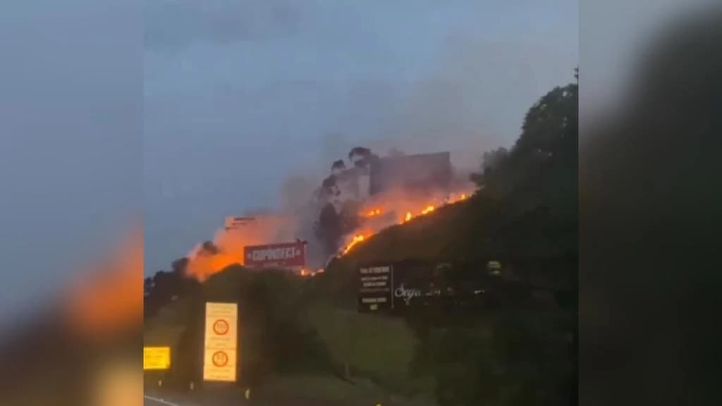 Fogo atinge vegetação às margens da BR-101 em Itapema