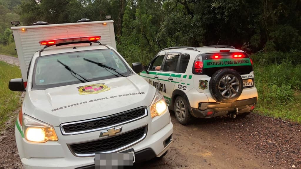 Trabalhador morre após ser atingido por árvore de eucalipto