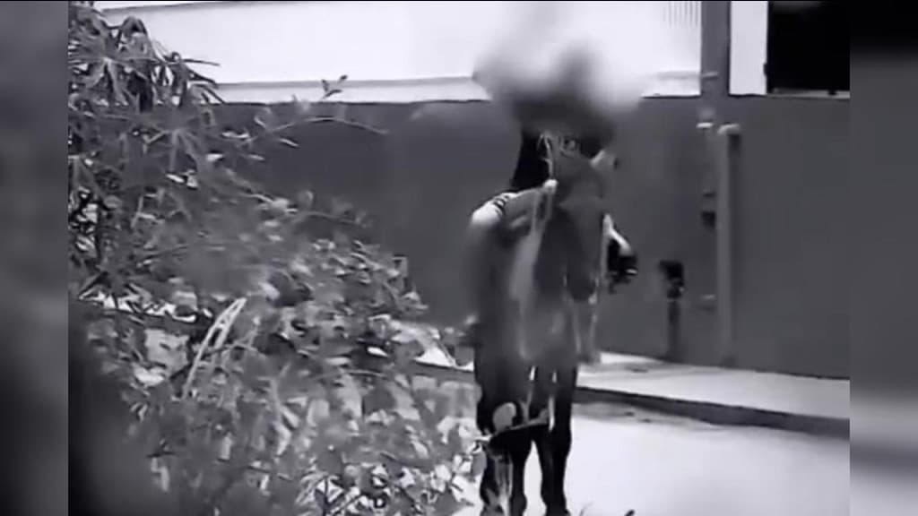 Homem embriagado é flagrado agredindo e vomitando em cavalo