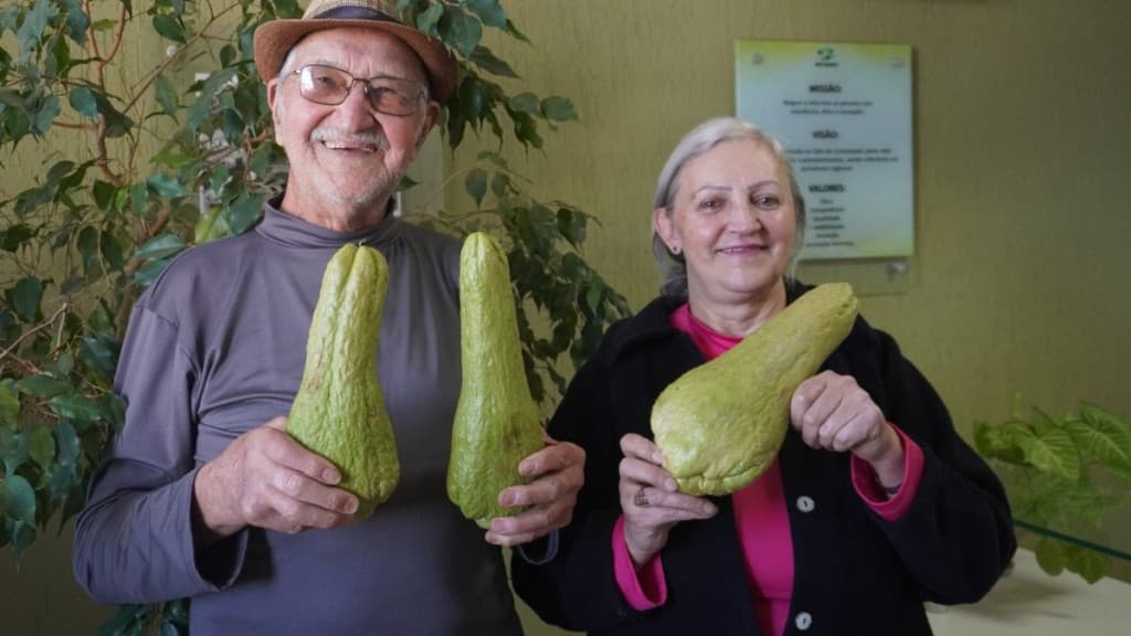 Idoso colhe chuchu gigante em telhado de residência
