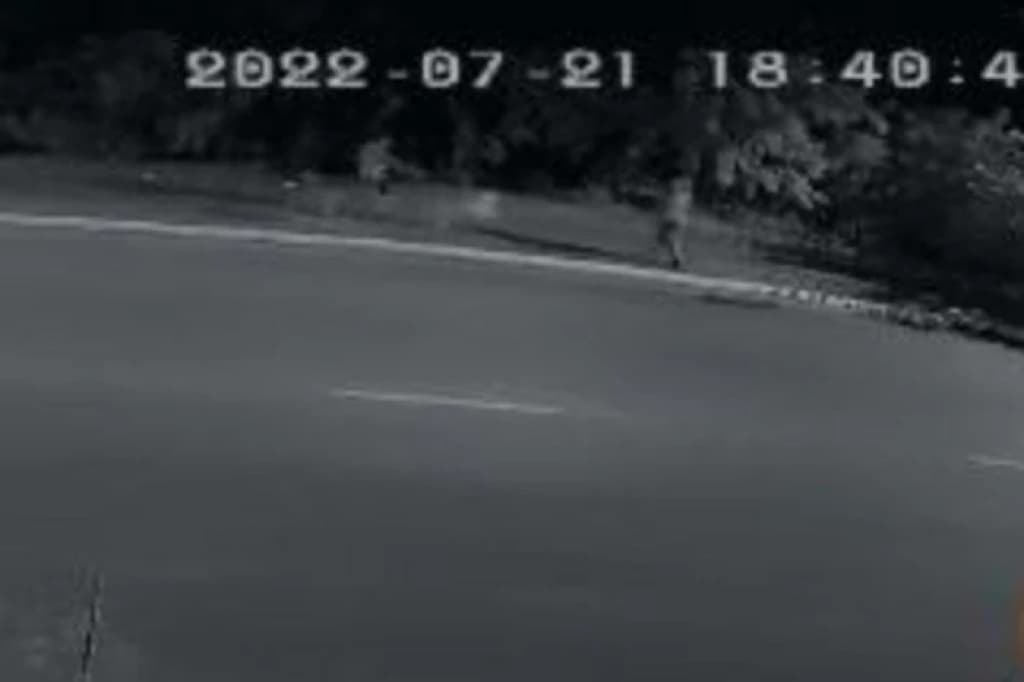 Cão é morto por assaltante ao tentar defender dono