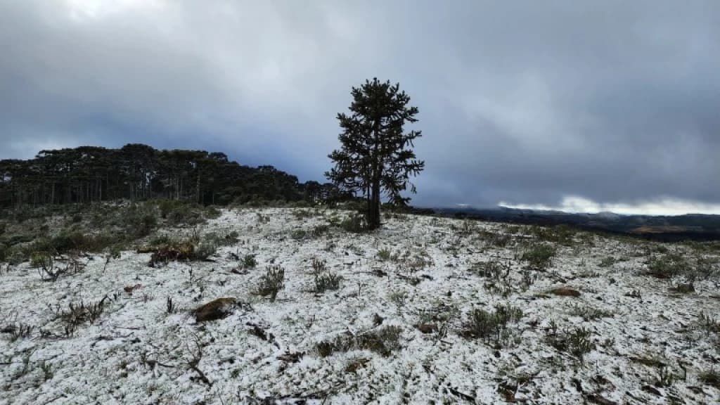 SC não tinha primavera com neve desde 2012
