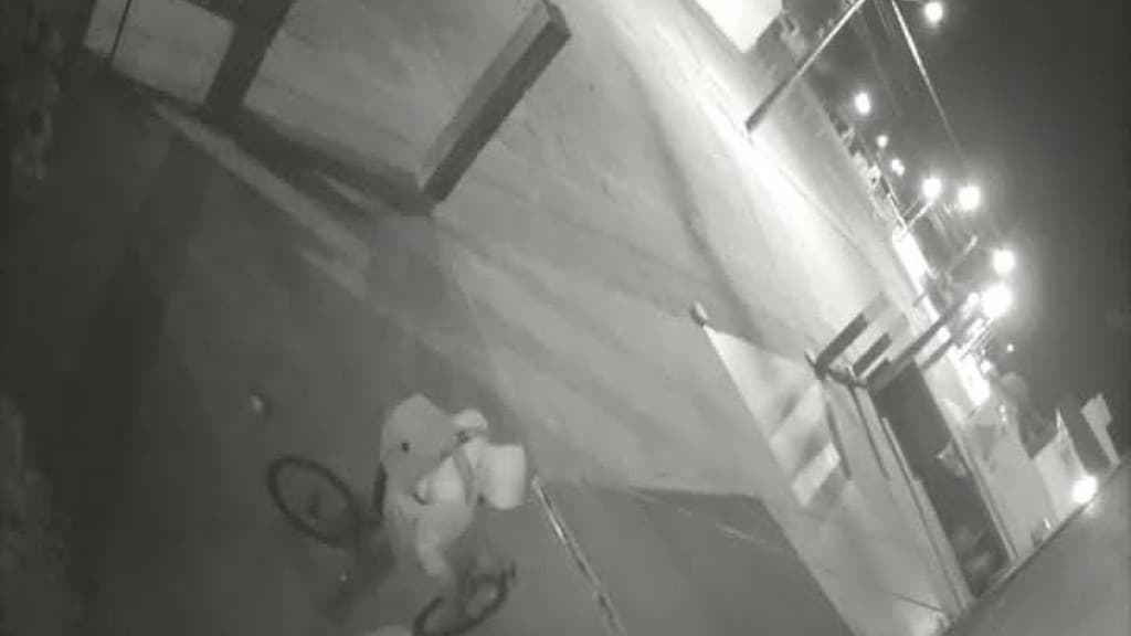 Inacreditável: “Tijucas tá pedida, nem a casinha do cachorro de rua perdoa mais”
