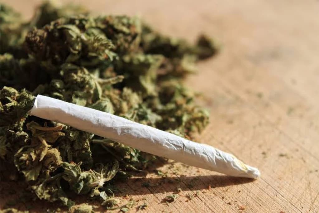 Maconheiro toma enquadro em Tijucas