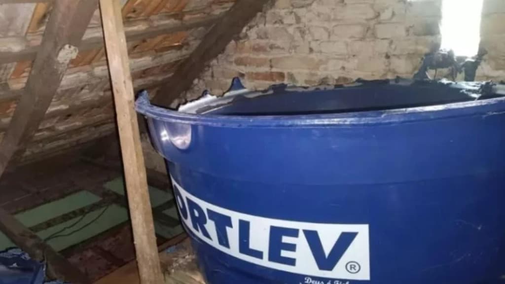 Idosa de 69 anos quase ateia fogo em residência ao espantar vespas