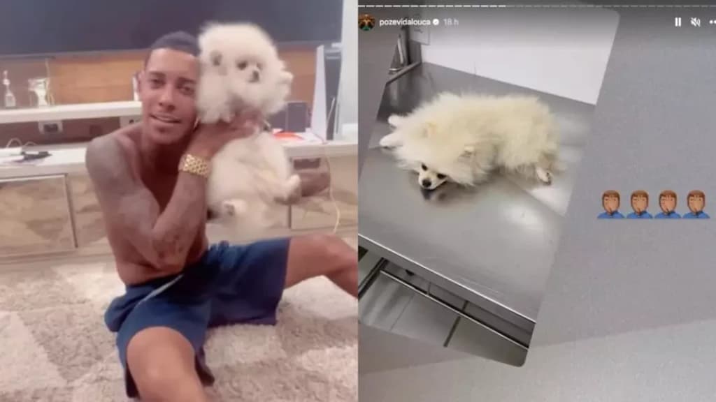 Cachorro passa mal após comer maconha em casa de funkeiro
