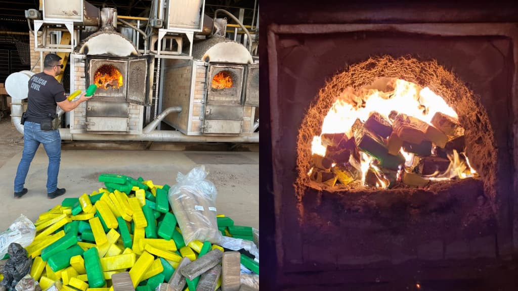 Polícia Civil incinera quase uma tonelada de drogas em Canelinha