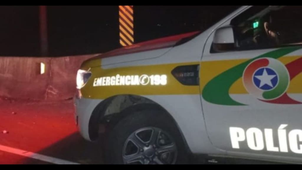 Motociclista atropela boi e os dois acabam mortos em Itajaí