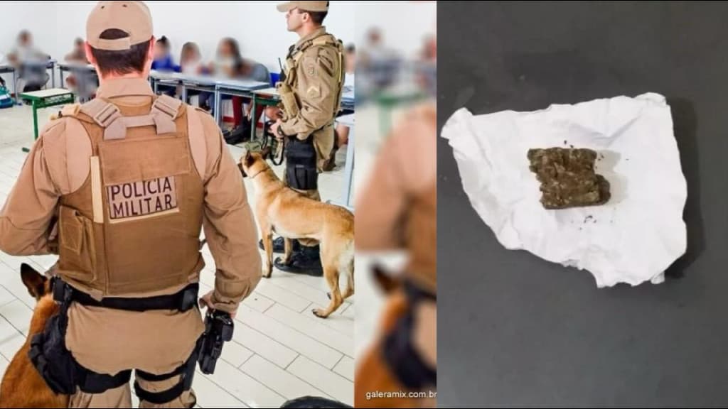 Criança de 8 anos leva maconha para escola, em Santa Catarina