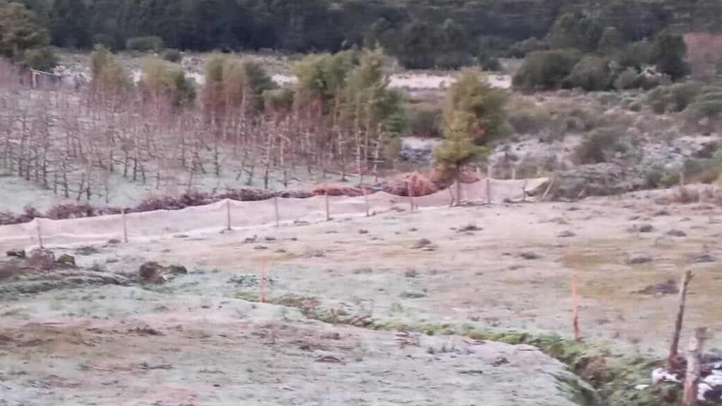 Inverno começa com temperaturas negativas em Santa Catarina