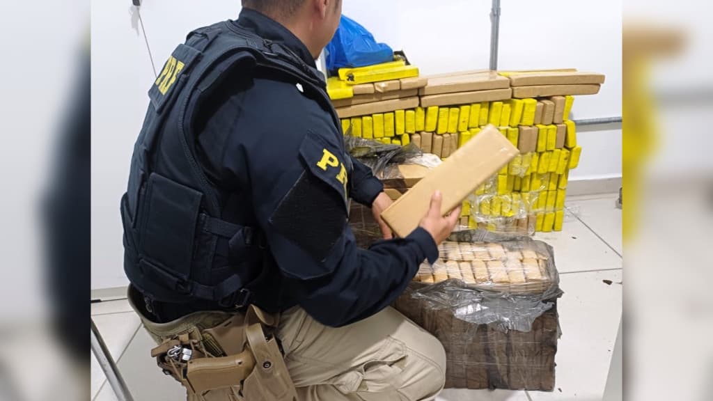 PRF apreende 185 kg de maconha na BR-101, em Porto Belo