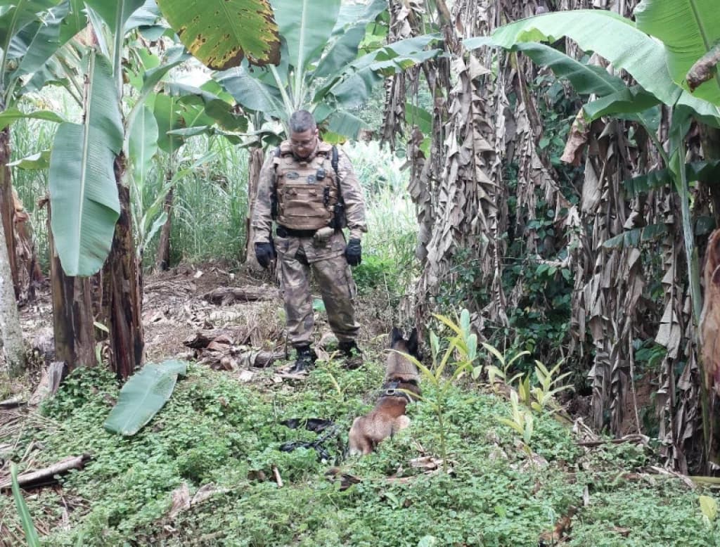 Duas crianças são sequestradas em Jaraguá do Sul; PM está mobilizada nas buscas do sequestrador