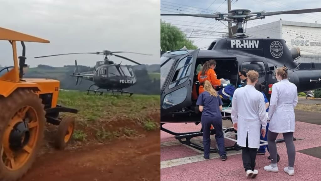 Queda de árvore durante corte deixa trabalhador inconsciente