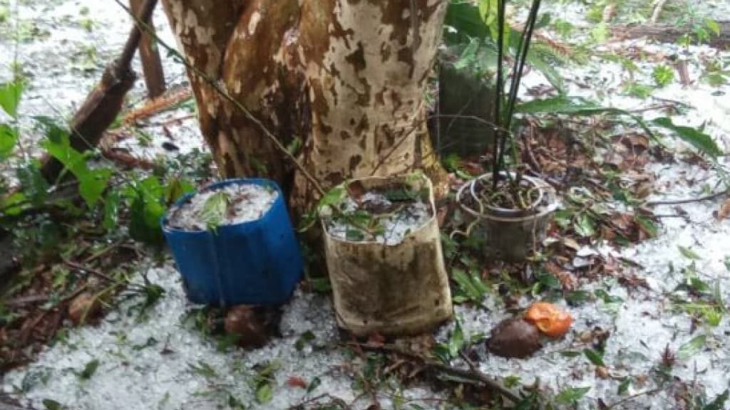 Chuva e granizo causam estragos no Oeste de Santa Catarina