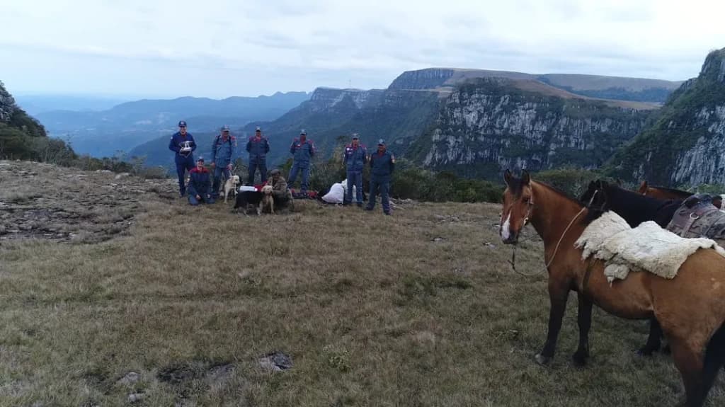 Bombeiros resgatam cães que caíram em cânion com 200 metros de altura
