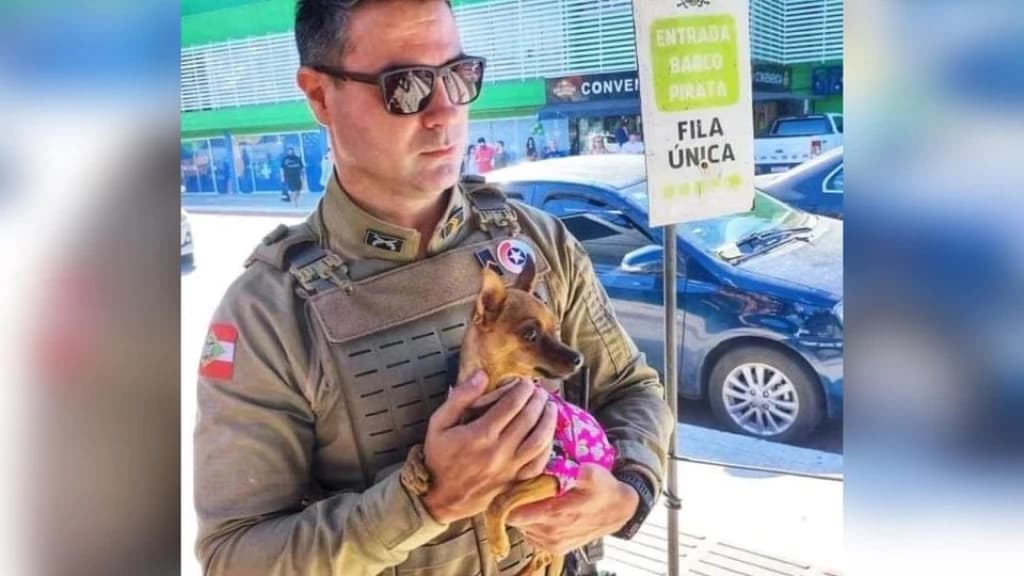 Cachorrinha presa em carro estacionado no sol é resgatada em Balneário Camboriú