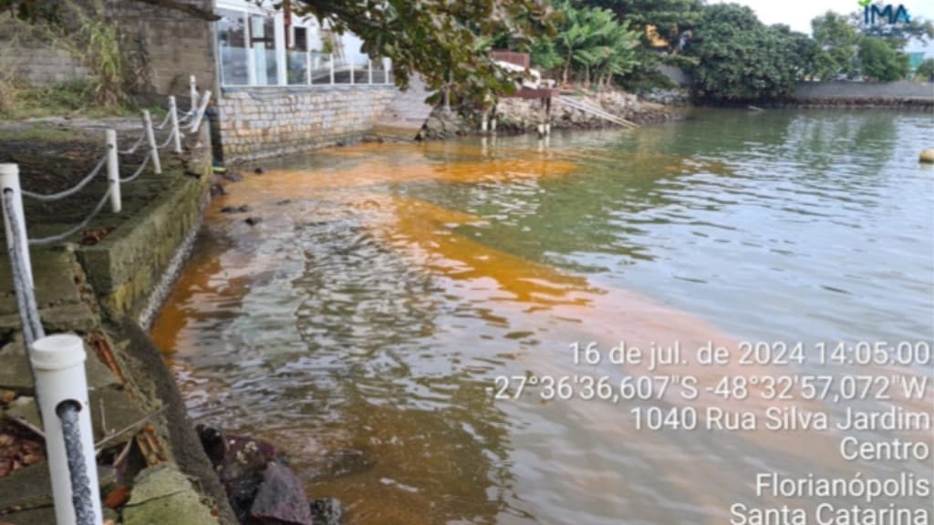 Descubra a causa das águas alaranjadas em Florianópolis