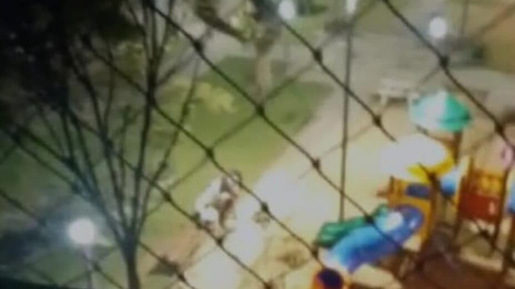 VÍDEO: Casal é flagrado fazendo sexo em praça pública