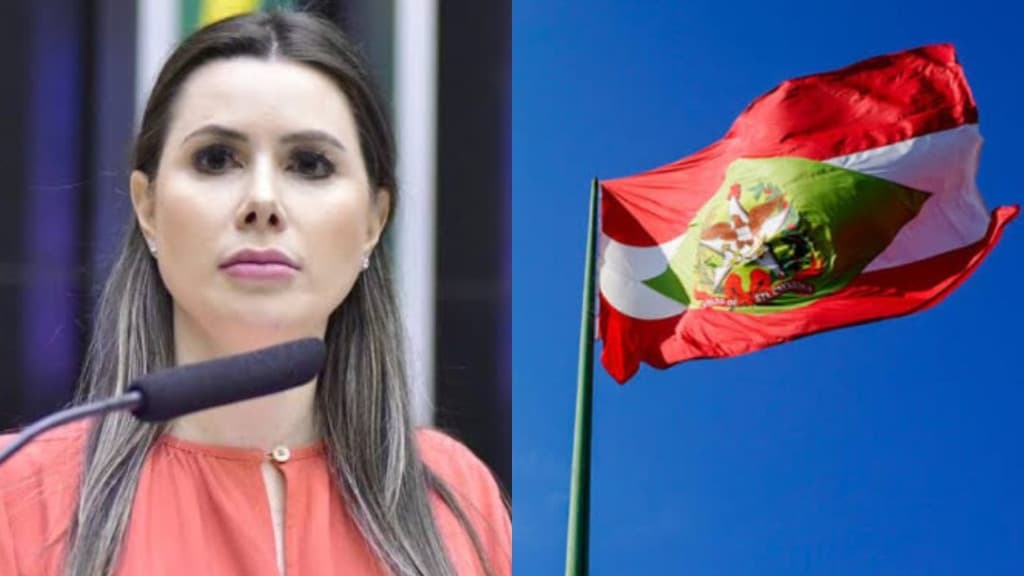 Catarinense vai comandar a mais importante comissão da Câmara Federal