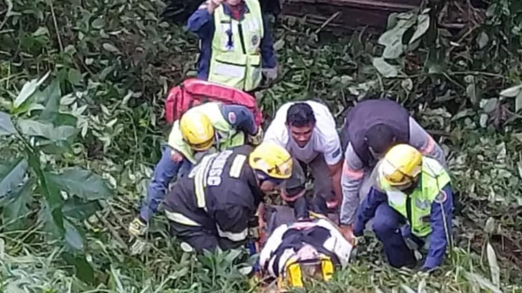 Condutora perde o controle de carro e despenca 15 metros em barranco