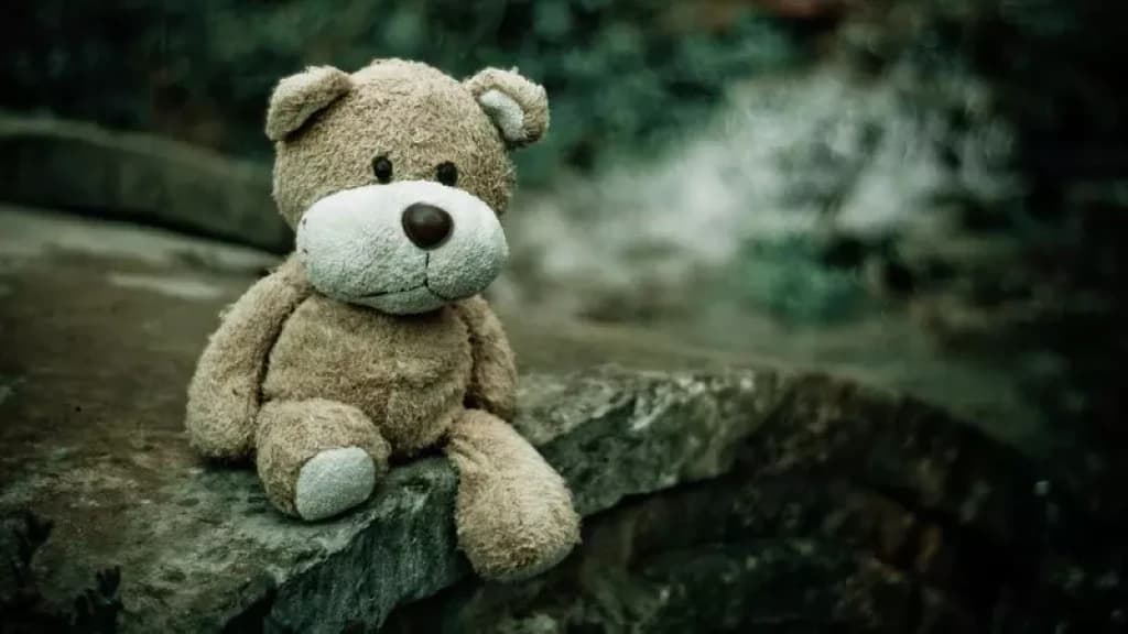 Casal é flagrado com urso de pelúcia recheado de drogas em SC