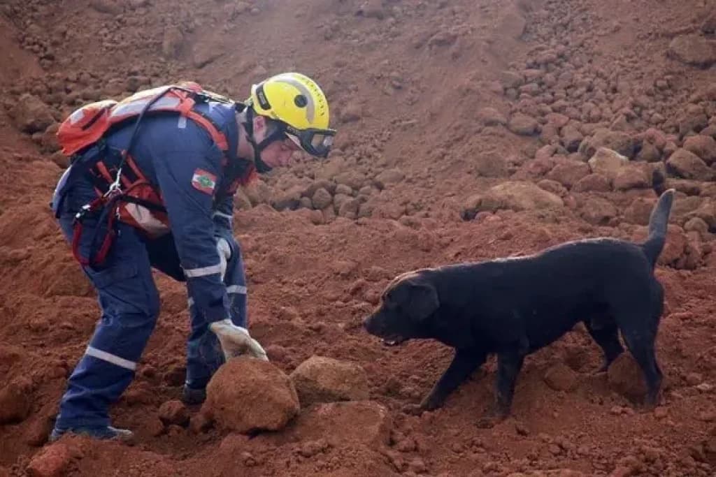 Corpo é encontrado após deslizamento de terra na BR-376
