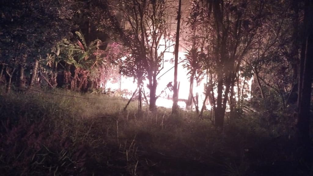 Homem incendeia casa abandonada de Canelinha após enxame de abelhas