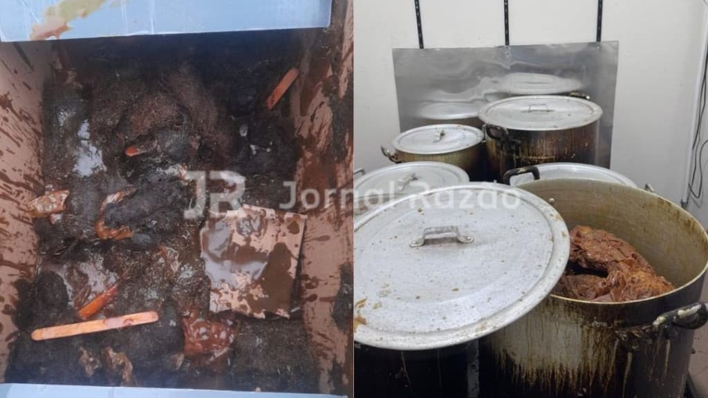 Clínica famosa de Florianópolis reutilizava cera de depilação em clientes: “cozida e reembalada”