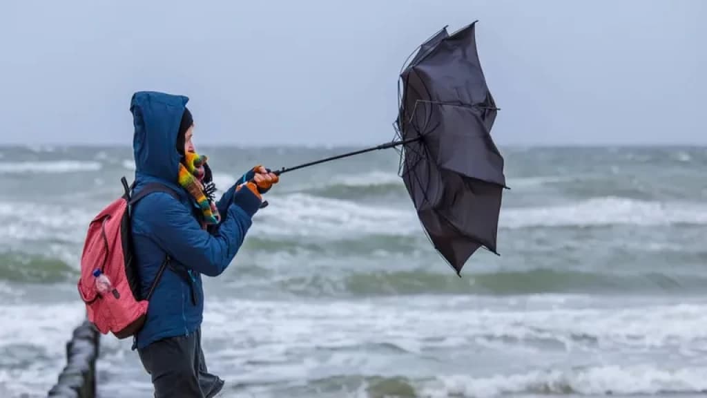 ALERTA: Santa Catarina pode encarar ventos de até 100 km/h