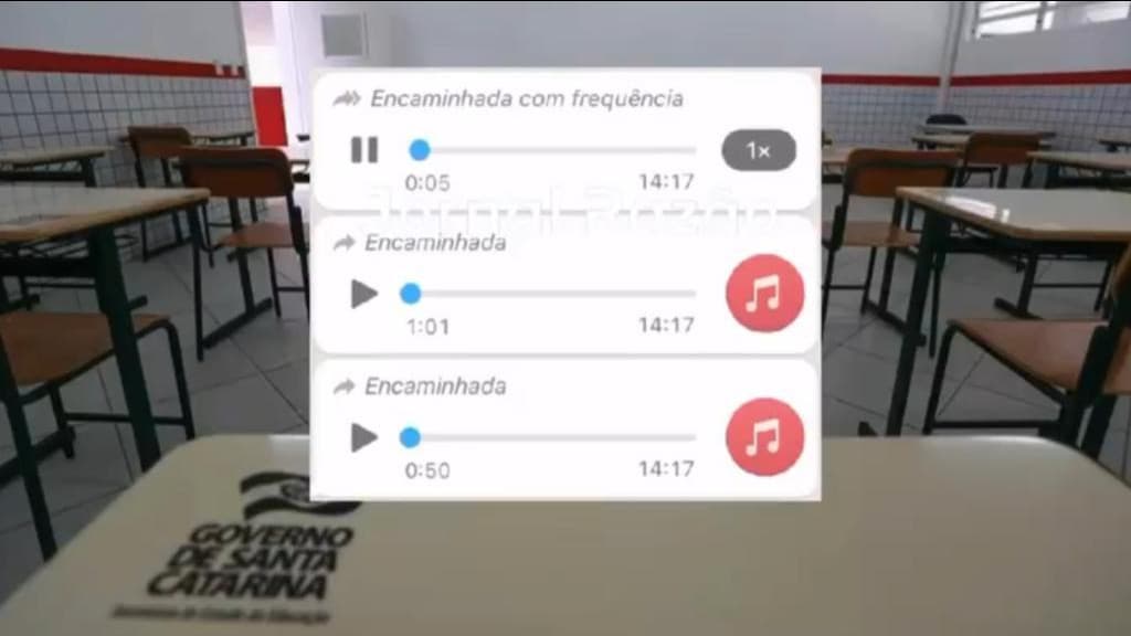 Professora que chamou catarinenses de nazistas vai  continuar nas salas de aula