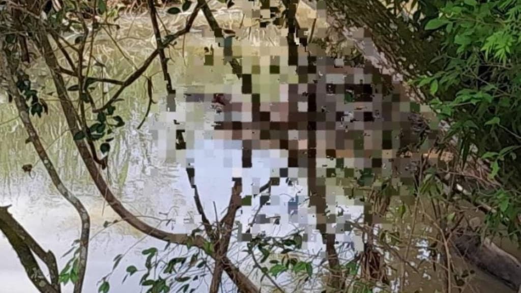 Corpo é encontrado boiando em rio de Blumenau