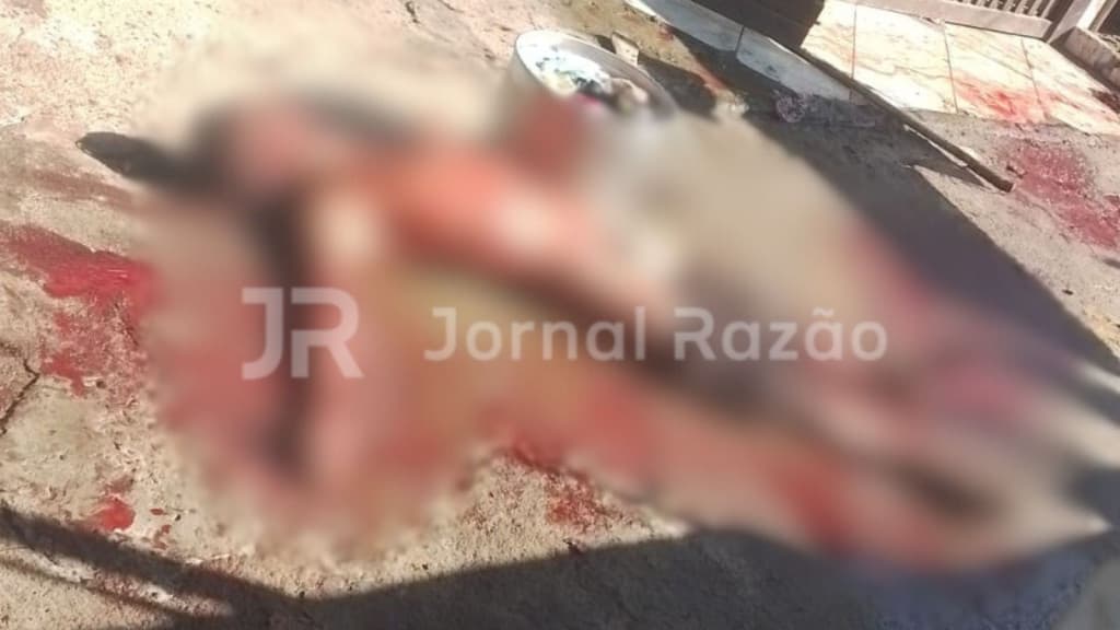 Homem é “devorado” por Pitbulls e morre após ataque, em Florianópolis