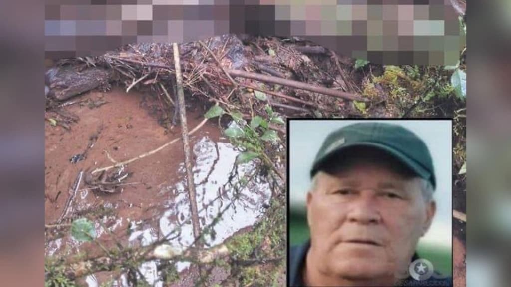 Identificado corpo encontrado em avançado estado de decomposição em área de mata em SC