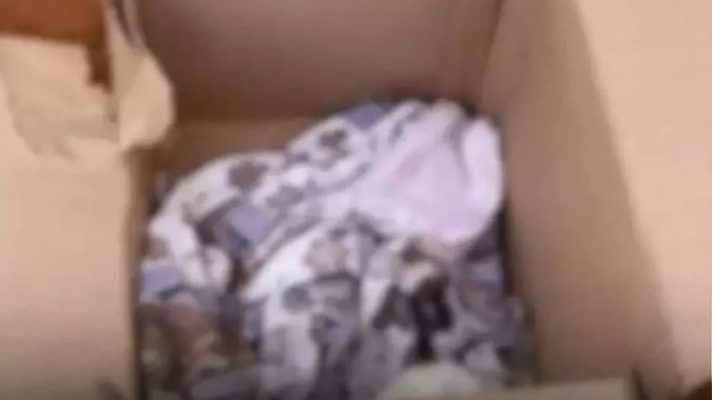 Morador escuta barulho no portão e encontra bebê abandonado