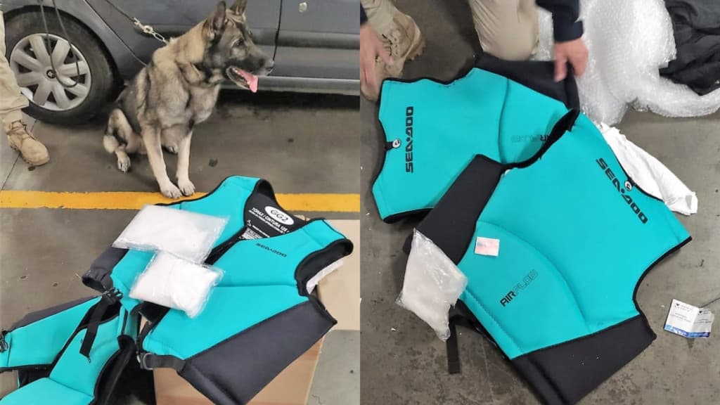 Cão da PRF encontra carga de cocaína na BR-101, em Itajaí, que seria entregue na Nova Zelândia