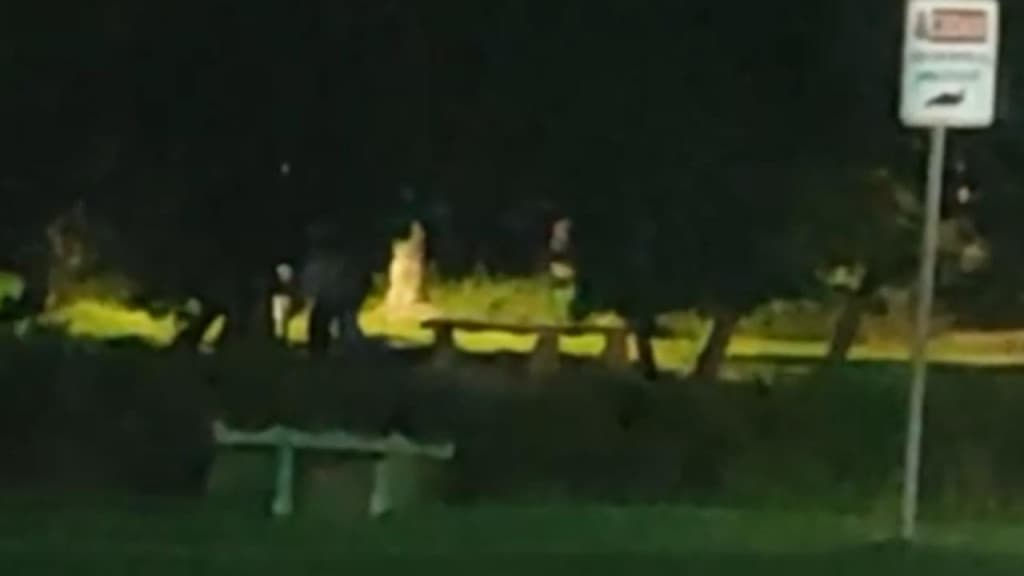 Casal é flagrado transando ao ar livre na lagoa do Bosque da Mata, em Tijucas