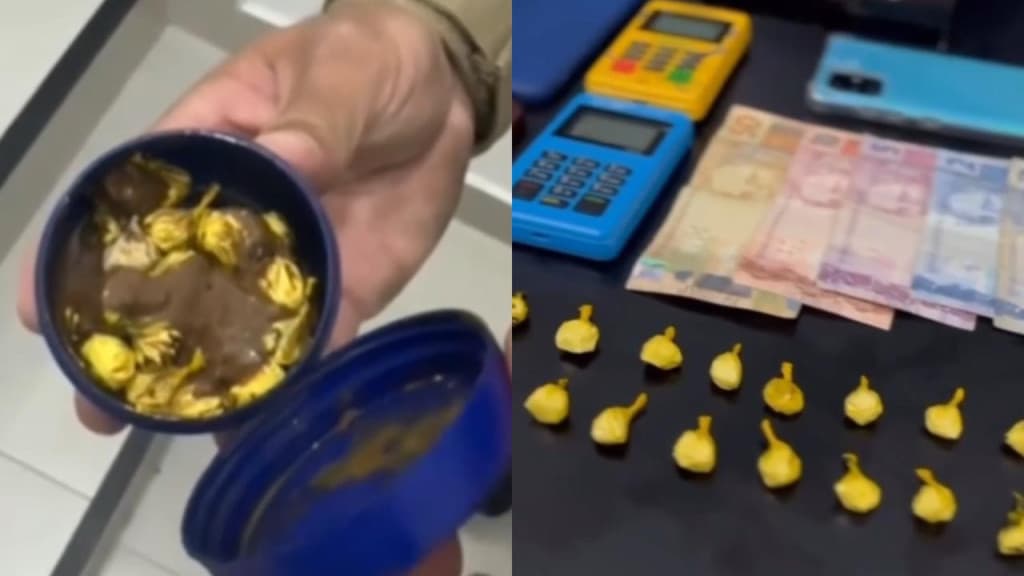 “Merdaína” em Balneário Camboriú: droga era guardada com cocô de cachorro