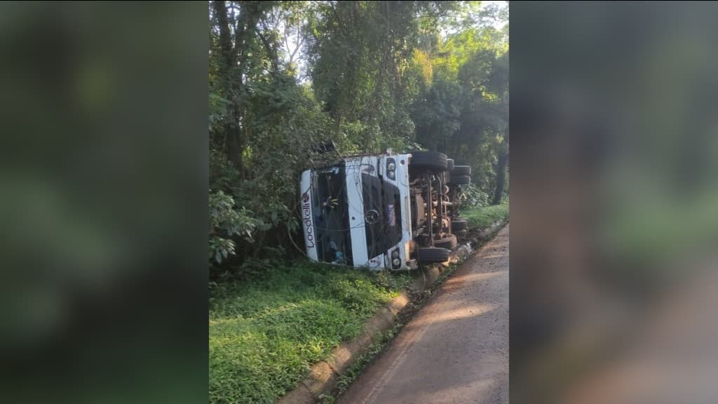Caminhão com suínos capota na BR-282 e motorista sai intacto