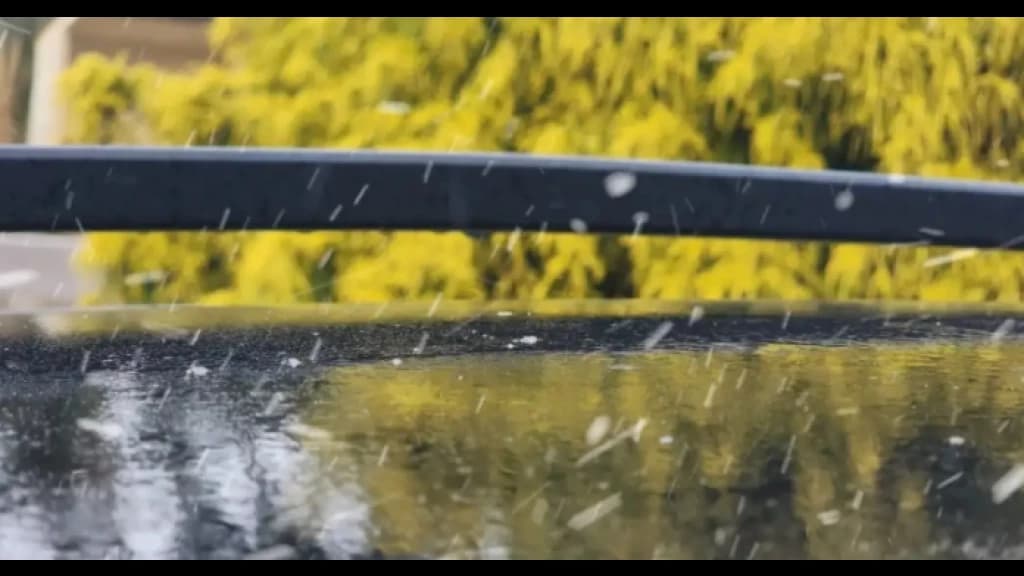Primeiros flocos de neve caem na Serra catarinense