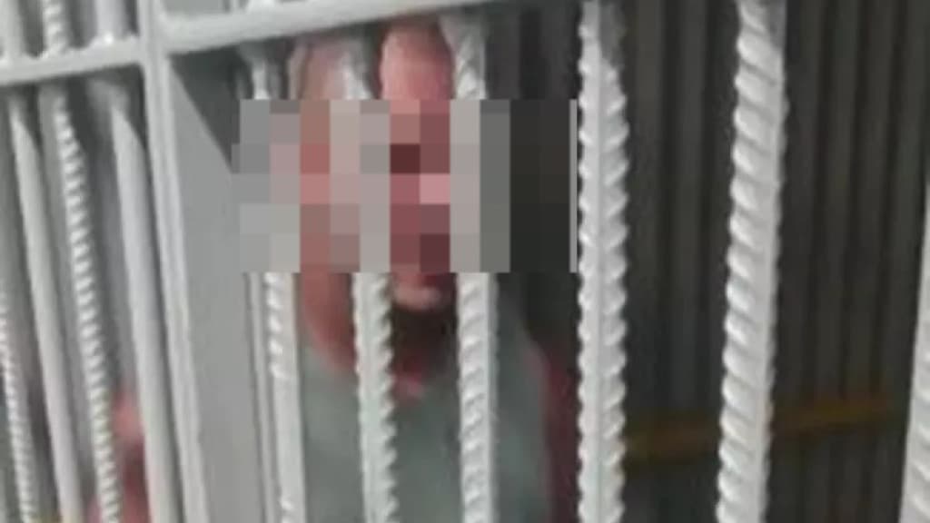 Polícia analisa depoimento do responsável pelo ataque à creche em Blumenau