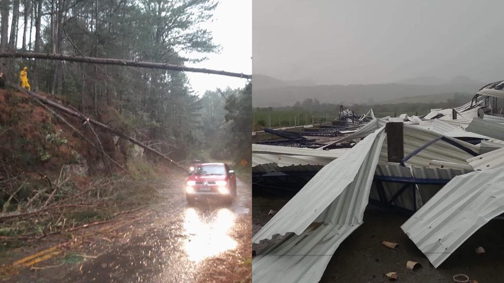 Temporal com ventos fortes deixa rastro de destruição em SC