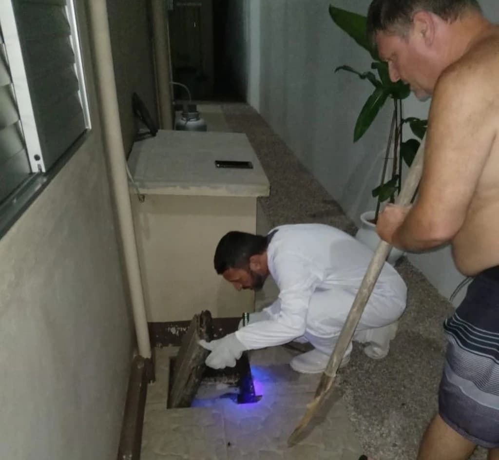 Tijucas emite alerta após morador encontrar escorpião perto de casa