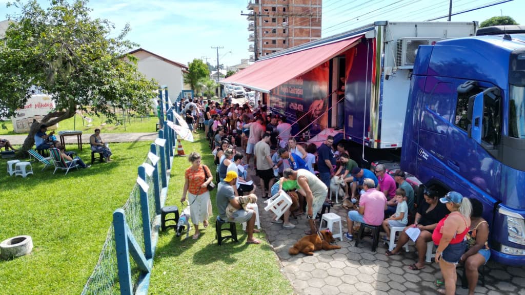 Mutirão castra mais de 200 animais em Tijucas